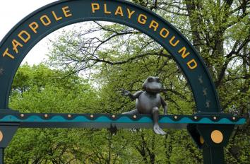 46. Frogs of Tadpole Playground - 1